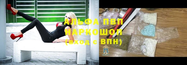 ECSTASY Билибино