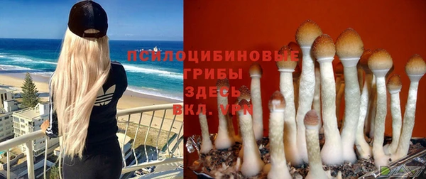 COCAINE Беслан