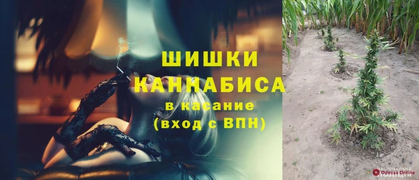 шишки Новозыбков