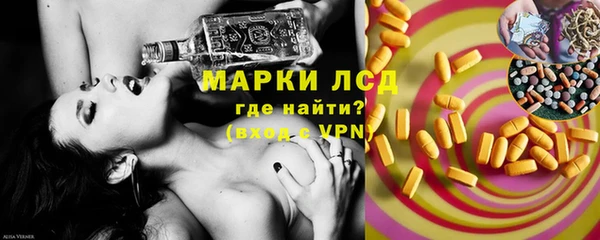 шишки Новозыбков